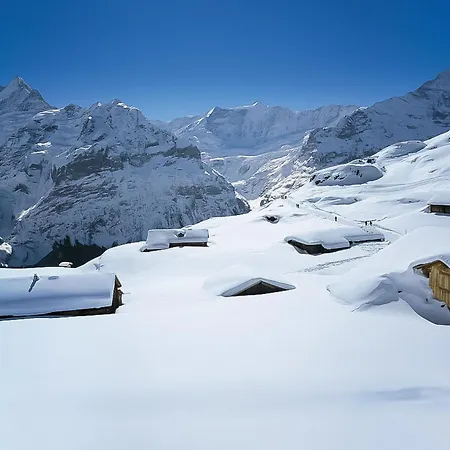 Andra By Interhome Chalet Grindelwald